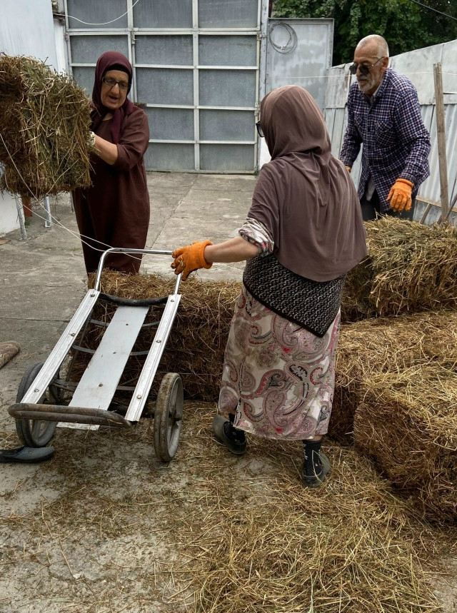 Консультация для подопечных.