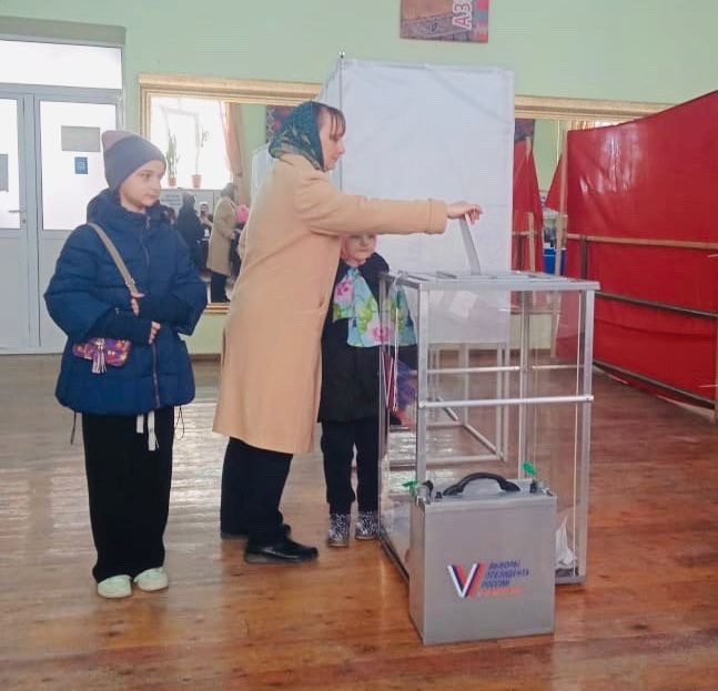 Участие в выборах